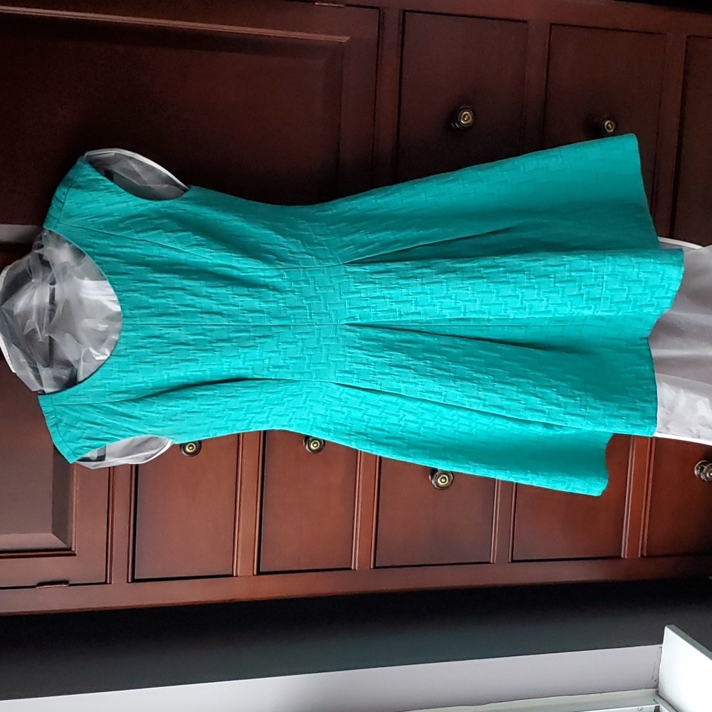 Eliza J -  sleeveless dress with side pockets. Size: 4. Colour: beautiful green.